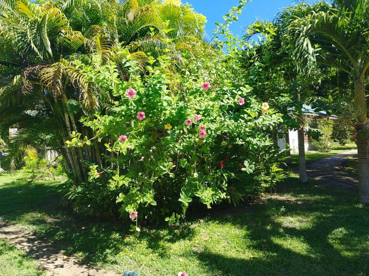 Chez Michellin Pensions Residence La Digue Kültér fotó